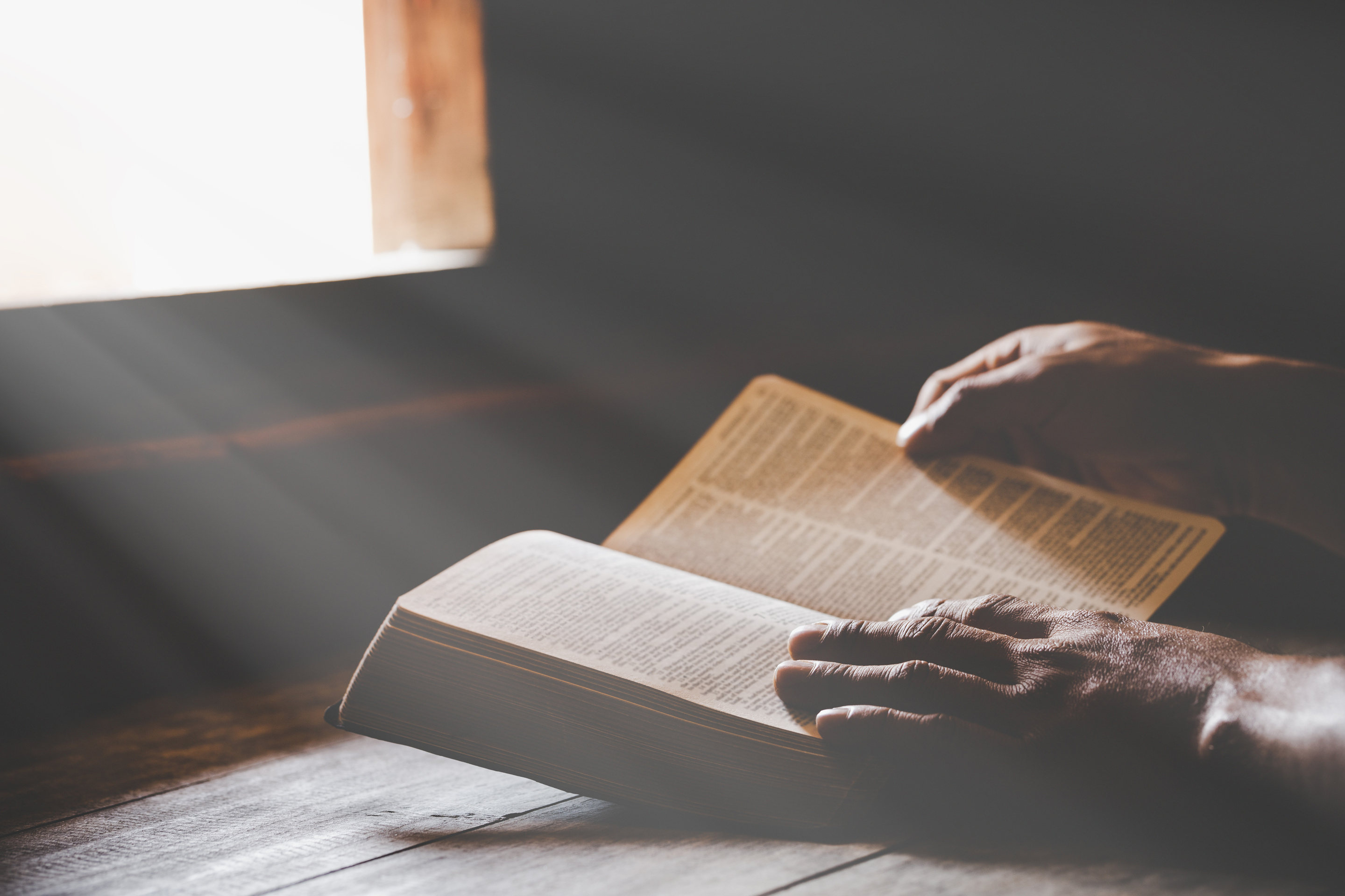 Man Reading the Bible
